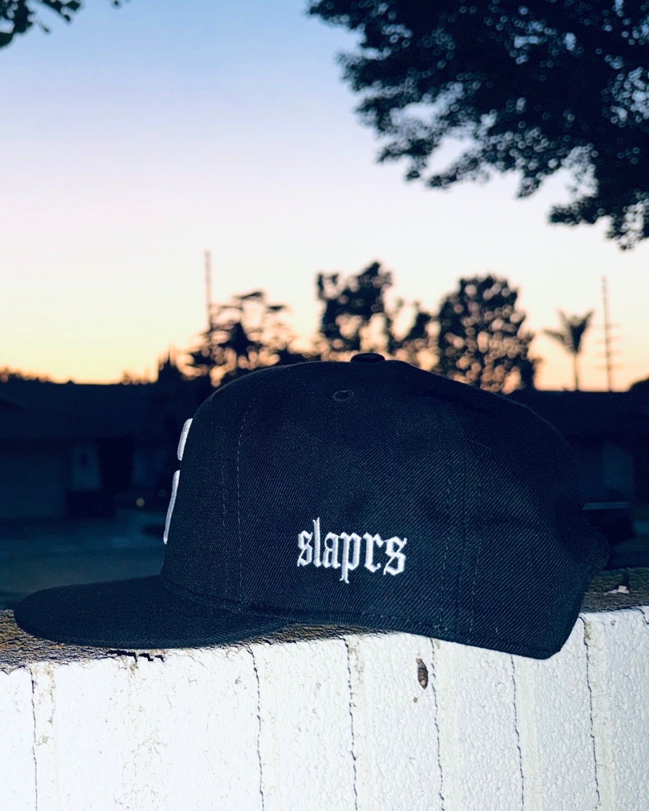 ICON HAT